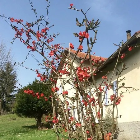 La Scellana Tiglieto