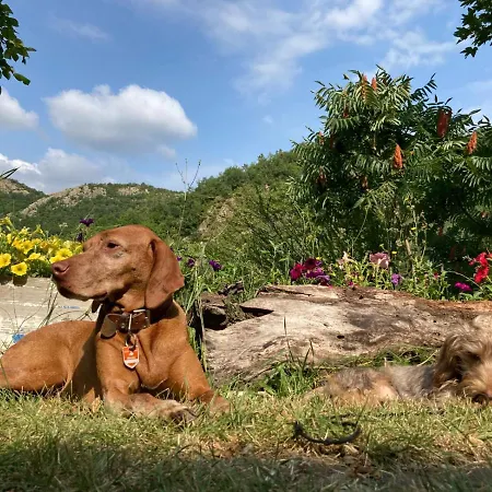 La Scellana Bed & Breakfast 3*