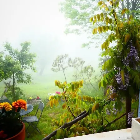 Bed & Breakfast La Scellana